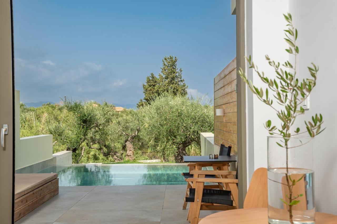 Tsamis Zante Suites (Adults Only) Psarou  Luaran gambar Private pool at the hotel
