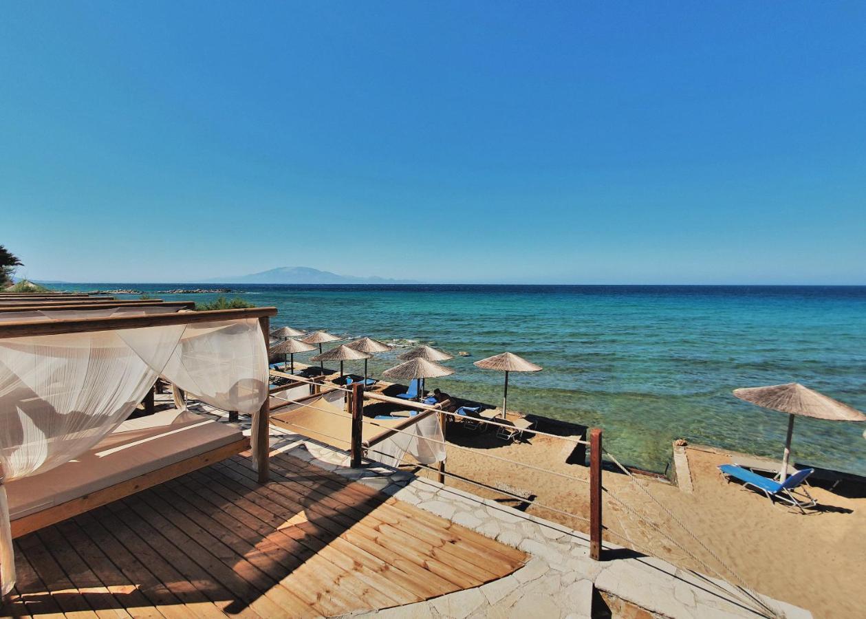 Tsamis Zante Suites (Adults Only) Psarou  Luaran gambar Beach in Agia Marina